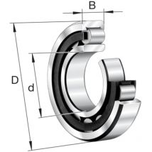 FAG Cylindrical Roller Bearing NU317E.M1