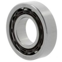 FAG - Schrägkugellager 7310 -b-xl-tvp-ua Innen-Ø 50 mm Außen-Ø 110 mm Breite27 mm