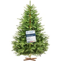 Fairytrees - Sapin De Noël Artificiel 180 Cm Arbre De Noël Avec Support En Bois Sapin Des Alpes Éléments Moulés Par Injection