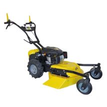 Roques Et Lecoeur - rl 210 rl 53 cm serie segadora hoz con motor rv 225 ohv 223 cc