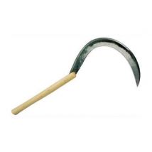 Falciola Matteo n. 2