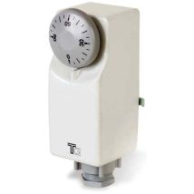 Termostato Regolazione Esterna Contatto 0÷90°c In Custodia - Fantini Cosmi