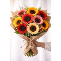 Farbige Sonnenblumen Saatgut 100 Stück – Zierpflanzen Garten, Leicht Zu Pflanzen