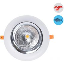 Barcelona Led - Faretto led speciale per pescherie - 44W - Driver Philips -