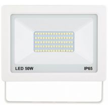 Faretto led White a luce fredda da 50W