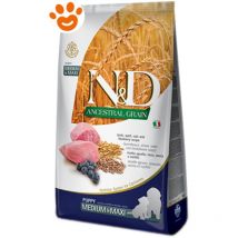 Crocchette cane n&d ancestral puppy medium&maxi agnello, farro, avena & mirtillo 2,5KG - Farmina