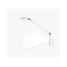 Faro Barcelona - inviting, Lampe de table avec pince pour l'intérieur, Faro