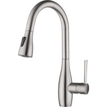 Robinet de Cuisine, Robinet Cuisine avec Douchette Extensible, Robinet Cuisine Mitigeur avec 2 Modes de Jet, Robinet Évier Cuisine Rotatif à 360°,