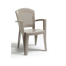 Scab tourterelle Super Elegant Scab