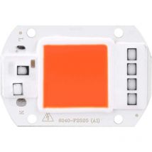 Fdit led cob Lampe Licht ac 220V Lichtquelle für diy led Strahler Flutlicht Energiesparlampe 50W (Orange)