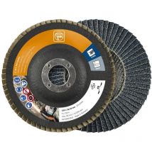 63730022010 Disque à surfacer à lamelles Diamètre 125 mm ø de perçage 22.23 mm 10 pc(s) - Fein