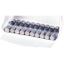 Feinsicherung Träge Glasrohr 0,100 A (5 X 20 Mm) - 10 Stück