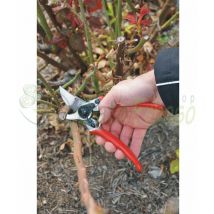 11 - Tijeras de poda, corte de 25 mm - Felco