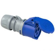 Femelle CEE-CARA 16 A 3 pôles PCE 213-6tt 230 V bleu, gris 1 pc(s)