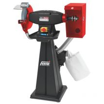 Smerigliatrice Femi 199/M - 1500 w Trifase - ø 250x35x25 mm - Mola inclusa - 8005932