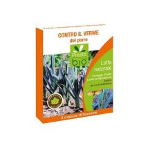 Feromone contro Verme del Porro Ueber