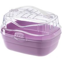 Aladino small Transport pour hamsters. Variante small - Misure: 20 x 16 x h 13.5 cm - Lilac - Ferplast