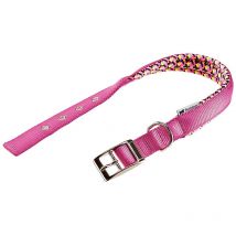 Daytona fantasy c Collare per cani con morbida imbottitura e fibbia in metallo.. Variante C25/53 - Misure: a: 45-53 cm b: 25 mm - Fucsia - Ferplast
