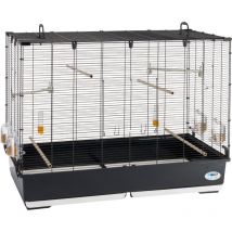 Ferplast - piano 7 Volière Cage à Oiseaux piano 7 : Cage en métal avec accessoires pour oiseaux.. Variante piano 7 - Misure: 99.5 x 53 x h 74 cm -
