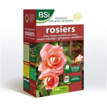 Bsi - Concime Bio Per Rose - Per Tutte Le Varietà Di Rose - Fioritura Splendente - Azione A Lunga Durata - 4kg - Fino A 40 M²