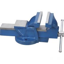 Etau d'etabli en fonte de 100 mm Fervi 0174/100