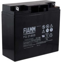 Batería de Plomo FG21803 - Fiamm