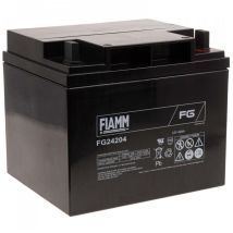 Batería de Plomo FG24204 Vds - Fiamm