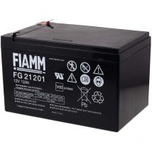 Fiamm - Recambio de Batería para Modelismo Barcos Caravanas Autocaravanas 12V 12Ah