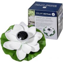 Fiap 3206 Solar Active Waterlily White Solar-dekoleuchte Led Led Fest Eingebaut Weiß