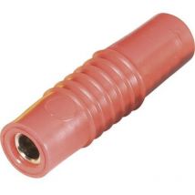 Fiche banane femelle ø de la broche: 4 mm Schnepp kp 4000 s rt rouge 1 pc(s) D29337