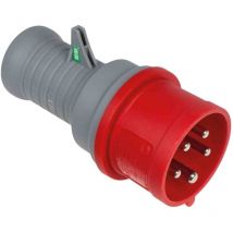 As-schwabe - Clavija de control de fase 3PNT/IP44 3PNT/IP44 - 16mA