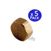 Suinga - Lot de 5 Bouchon Femelle Laiton 3/4'' Accessoire en laiton Aenor Bouchon en laiton 3/4'' avec filetage interne