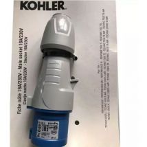 Sdmo - Fiche màle 16A/230V