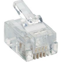 Lumberg - Fiche modulaire mâle p 127 RJ11 mâle, droit RJ11 Pôle: 6p4c transparent 1 pc(s) D26363