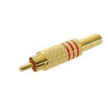 Toolland - fiche rca male dore - rouge CA048R RI793