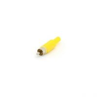 Fiche rca male - jaune CA047Y RI778