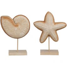 Figura Decorativa Marrón Claro Concha Estrella de mar 24 x 17 x 17 cm - Mica Decorations