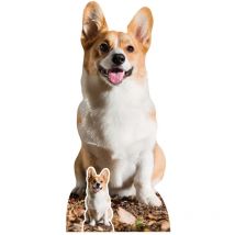 Figurine en carton chien Welsh Corgi Pembroke - chien favori de la reine d’Angleterre Elisabeth - Haut 76 cm