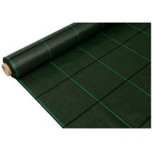 Fun&go - Filet anti-mauvaises herbes Fun&Go 2 x 25 m Vert 100 g/m² 100 g/m²