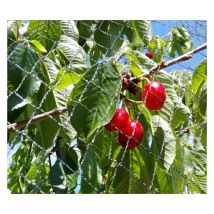 Direct Filet - Filet Anti-Oiseaux - Maille 25mm - Longueur 100m Couleur: Noir - Largeur: 12 m