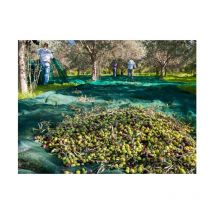 Maillestore - Filet de récolte 50gr/m² - sans finition Vert 6m x 8m