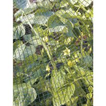 Filet de protection 2x5m