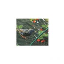 Filet de protection oiseaux birdnet 10 x 5