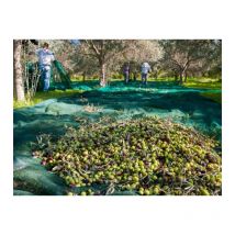 Filet de récolte 50gr/m² Vert 5m x 100m