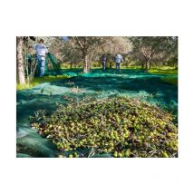 Maillestore - Filet de récolte 50gr/m² - sans finition Vert 6m x 6m