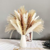 Mezheng - Lot de 80 fleurs séchées pour la décoration, bouquet de fleurs séchées naturelles Pampa blanche pour la décoration Décoration bohème pour