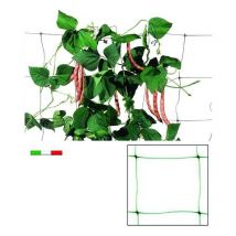 Filet en plastique pour plantes grimpantes