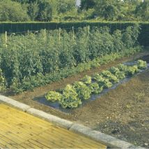 Celloplast - film paillage terrafilm 10mx140 - nortene