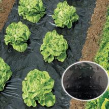 Werka Pro - Film percé de paillage potager