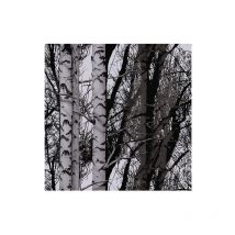 Film rouleau static premium wood 15mx67.5cm D-c-fix